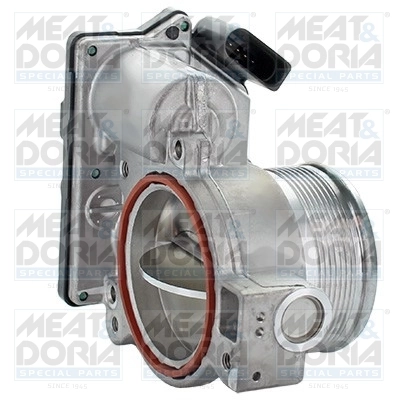 Throttle Body